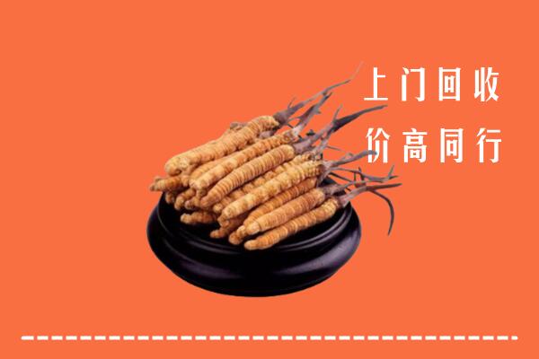 高价求购：海淀回收散虫草