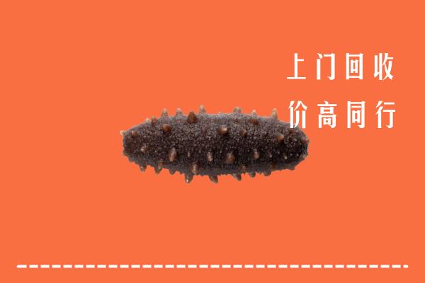 高价求购：海淀回收海参
