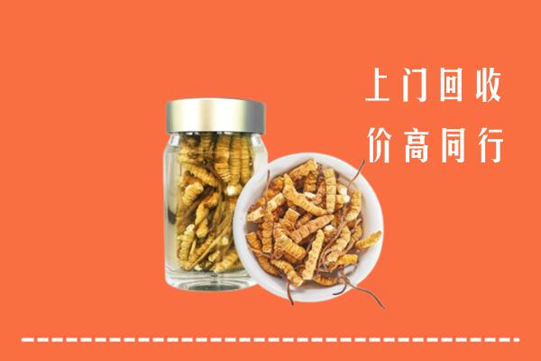 海淀回收冬虫夏草